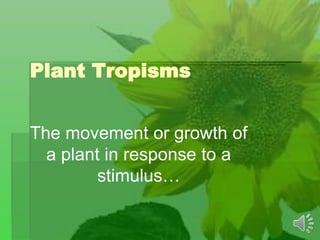 Plant Tropisms
The movement or growth of
a plant in response to a
stimulus…
 