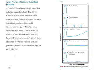 Comprehensive Overview of Viral Pathogenesis: Infection, Disease, and ...