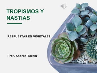 TROPISMOS Y
NASTIAS
RESPUESTAS EN VEGETALES
Prof. Andrea Torelli
 