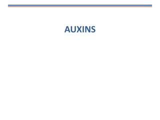 AUXINS
 