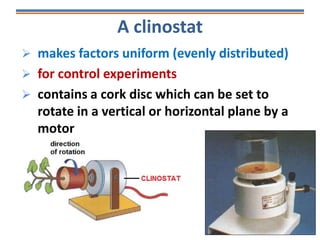 A clinostat
 makes factors uniform (evenly distributed)
 for control experiments
 contains a cork disc which can be set to
rotate in a vertical or horizontal plane by a
motor
 