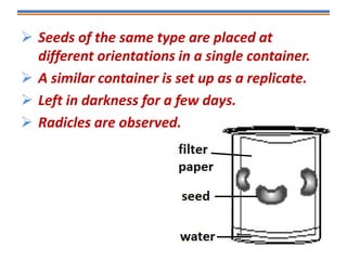  Seeds of the same type are placed at
different orientations in a single container.
 A similar container is set up as a replicate.
 Left in darkness for a few days.
 Radicles are observed.
 