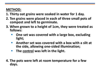 METHOD:
1. Thirty oat grains were soaked in water for 1 day.
2. Ten grains were placed in each of three small pots of
compost and left to germinate.
3. When grown to a height of 1cm, they were treated as
follows:
 One set was covered with a large box, excluding
light;
 Another set was covered with a box with a slit at
the side, allowing one-sided illumination;
 The control was left in the light.
4. The pots were left at room temperature for a few
days.
 