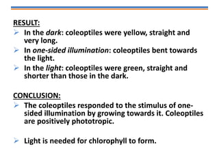 RESULT:
 In the dark: coleoptiles were yellow, straight and
very long.
 In one-sided illumination: coleoptiles bent towards
the light.
 In the light: coleoptiles were green, straight and
shorter than those in the dark.
CONCLUSION:
 The coleoptiles responded to the stimulus of one-
sided illumination by growing towards it. Coleoptiles
are positively phototropic.
 Light is needed for chlorophyll to form.
 
