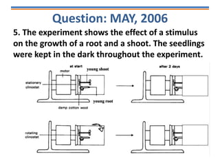 Question: MAY, 2006
5. The experiment shows the effect of a stimulus
on the growth of a root and a shoot. The seedlings
were kept in the dark throughout the experiment.
 