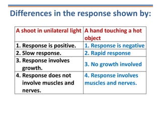 Differences in the response shown by:
A shoot in unilateral light A hand touching a hot
object
1. Response is positive. 1. Response is negative
2. Slow response. 2. Rapid response
3. Response involves
growth.
3. No growth involved
4. Response does not
involve muscles and
nerves.
4. Response involves
muscles and nerves.
 