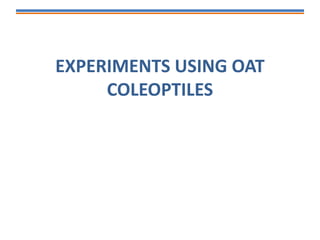 EXPERIMENTS USING OAT
COLEOPTILES
 