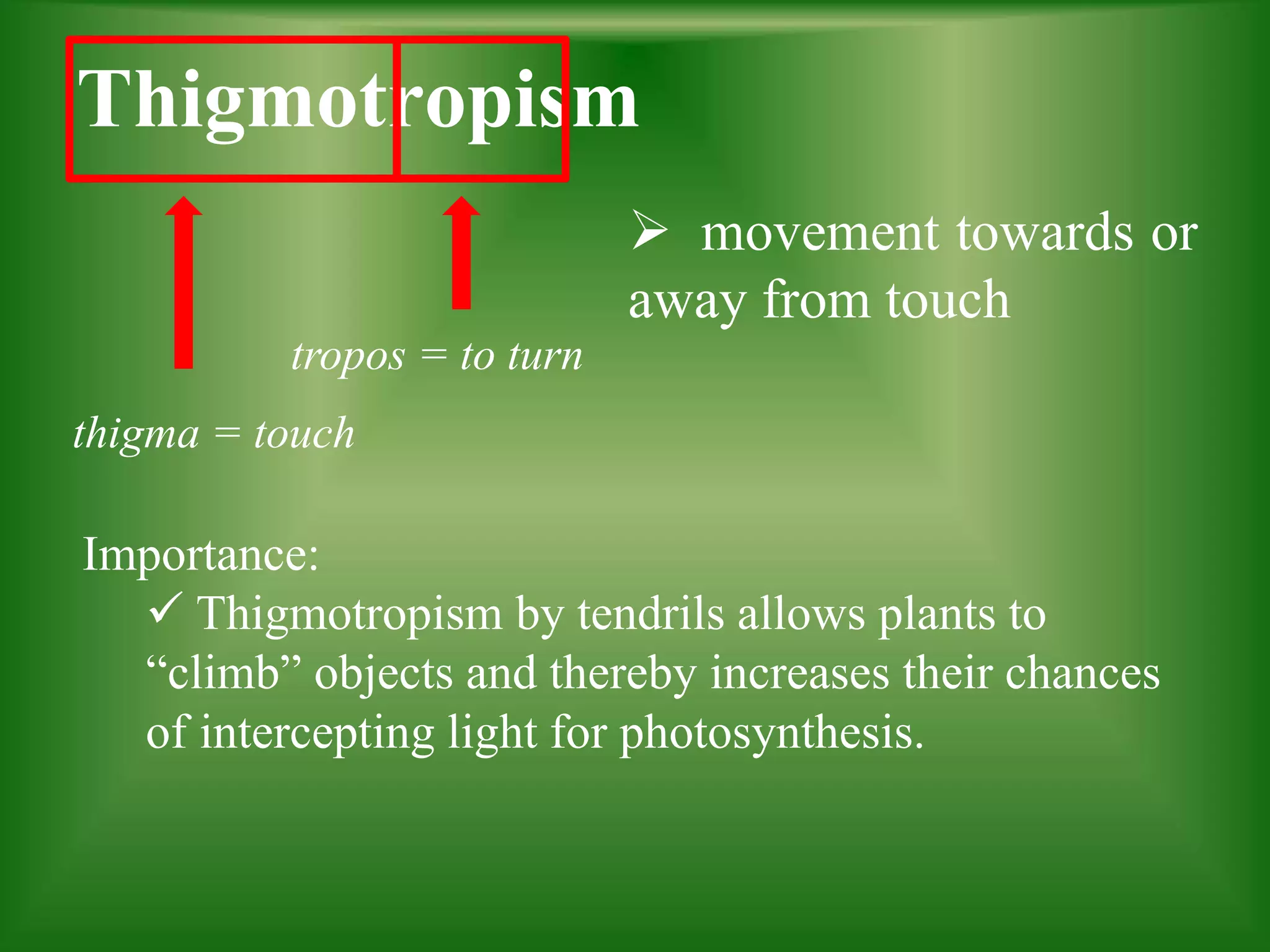 Thigmotropism
 movement towards or
away from touch
tropos = to turn
thigma = touch
Importance:
 Thigmotropism by tendrils allows plants to
“climb” objects and thereby increases their chances
of intercepting light for photosynthesis.
 