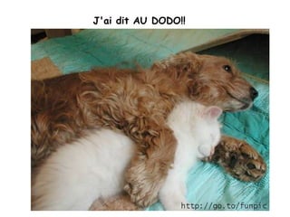 J'ai dit AU DODO!!  