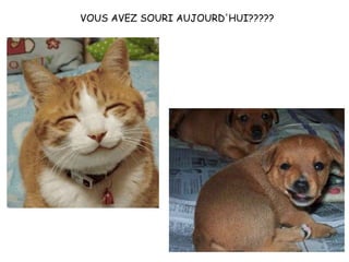 VOUS AVEZ SOURI   AUJOURD'HUI?????                                                                                                