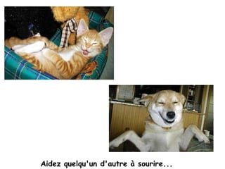                                                                                   Aidez quelqu'un d'autre à sourire...  