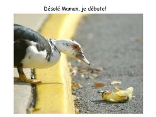 Désolé Maman, je débute! 