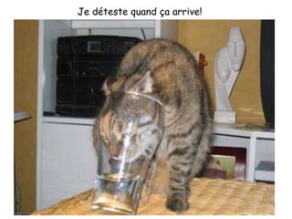 Je déteste quand ça arrive!  