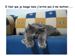 Il faut que je bouge mais j'arrive pas à me motiver....   