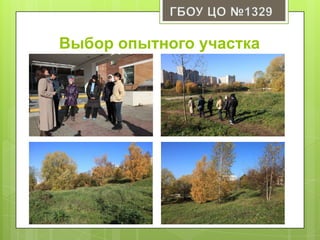 Выбор опытного участка
 