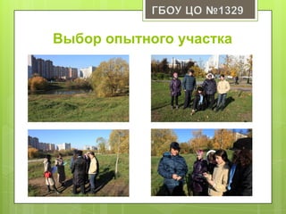 Выбор опытного участка
 