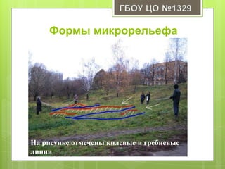 Формы микрорельефа
На рисунке отмечены килевые и гребневые
линии
 