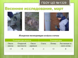 Весеннее исследование, март
Температура воздуха Температуры
Около
школы
Открытой
местности
Около
деревьев
Снега Почвы Растающая от
снега почва
+5 +5 0 -1 +3 0
Измерения температуры воздуха и почвы
 