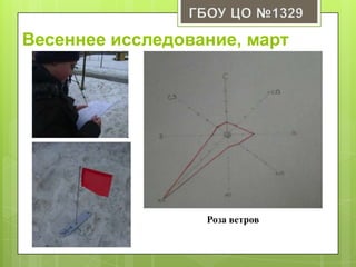 Весеннее исследование, март
Роза ветров
 