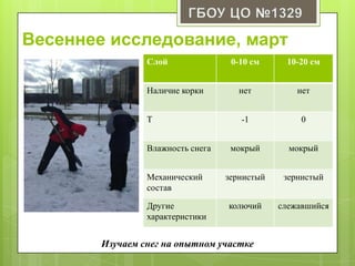 Весеннее исследование, март
Слой 0-10 см 10-20 см
Наличие корки нет нет
T -1 0
Влажность снега мокрый мокрый
Механический
состав
зернистый зернистый
Другие
характеристики
колючий слежавшийся
Изучаем снег на опытном участке
 