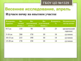 Весеннее исследование, апрель
Изучаем почву на опытном участке
Измерение,
горизонт
Вес
свежей
почвы, г.
Вес
высушенной
почвы, г.
Вес
пластиковой
банки, г.
Влажность,
%
Механический
состав почвы
0-5 см 110 90 10 25 органический
горизонт
5-10 см 200 170 10 18 суглинок
10-15 см 215 190 10 14 суглинок
15-20 см 170 150 10 14 суглинок
 
