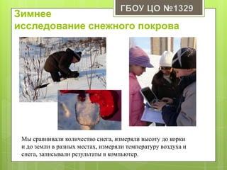 Зимнее
исследование снежного покрова
Мы сравнивали количество снега, измеряли высоту до корки
и до земли в разных местах, измеряли температуру воздуха и
снега, записывали результаты в компьютер.
 