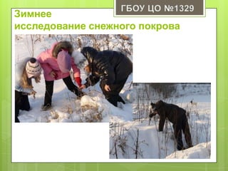 Зимнее
исследование снежного покрова
 
