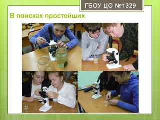 В поисках простейших
 