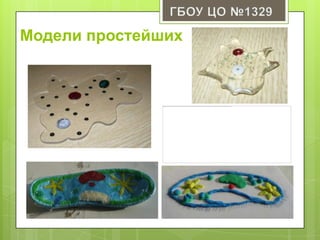 Модели простейших
 