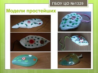 Модели простейших
 
