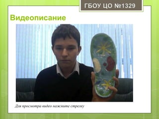 Видеописание
Для просмотра видео нажмите стрелку
 