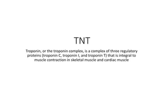 TNT
Troponin, or the troponin complex, is a complex of three regulatory
proteins (troponin C, troponin I, and troponin T) that is integral to
muscle contraction in skeletal muscle and cardiac muscle
 