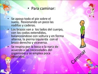 • Se apoya todo el pie sobre el
suelo, flexionando un poco las
rodillas y caderas.
• Los brazos van a los lados del cuerpo,
con los codos extendidos,
balanceándose con soltura y en forma
alterna, la pierna izquierda con el
brazo derecho y viceversa.
• Se respira por la boca o la nariz de
acuerdo a las necesidades del
organismo y se emplea poca
velocidad.
• Para caminar:
 