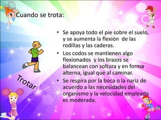 • Se apoya todo el pie sobre el suelo,
y se aumenta la flexión de las
rodillas y las caderas.
• Los codos se mantienen algo
flexionados y los brazos se
balancean con soltura y en forma
alterna, igual que al caminar.
• Se respira por la boca o la nariz de
acuerdo a las necesidades del
organismo y la velocidad empleada
es moderada.
• Cuando se trota:
 
