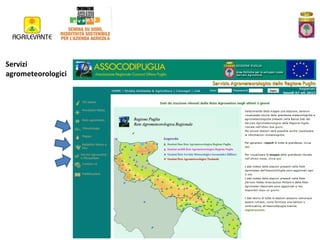 Servizi
agrometeorologici

 