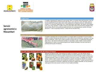 Servizi
agronomici e
fitosanitari

 