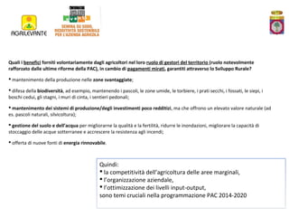 Quali i benefici forniti volontariamente dagli agricoltori nel loro ruolo di gestori del territorio (ruolo notevolmente
rafforzato dalle ultime riforme della PAC), in cambio di pagamenti mirati, garantiti attraverso lo Sviluppo Rurale?
 mantenimento della produzione nelle zone svantaggiate;
 difesa della biodiversità, ad esempio, mantenendo i pascoli, le zone umide, le torbiere, i prati secchi, i fossati, le siepi, i
boschi cedui, gli stagni, i muri di cinta, i sentieri pedonali;
 mantenimento dei sistemi di produzione/degli investimenti poco redditizi, ma che offrono un elevato valore naturale (ad
es. pascoli naturali, silvicoltura);
 gestione del suolo e dell’acqua per migliorarne la qualità e la fertilità, ridurre le inondazioni, migliorare la capacità di
stoccaggio delle acque sotterranee e accrescere la resistenza agli incendi;
 offerta di nuove fonti di energia rinnovabile.

Quindi:
 la competitività dell’agricoltura delle aree marginali,
 l’organizzazione aziendale,
 l’ottimizzazione dei livelli input-output,
sono temi cruciali nella programmazione PAC 2014-2020

 
