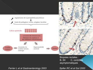 Biopsies rectales :
B. SII C. contrôles
asymptomatiques
Ferrier L et al Gastroenterology 2003 Spiller RC et al Gut 2000
 