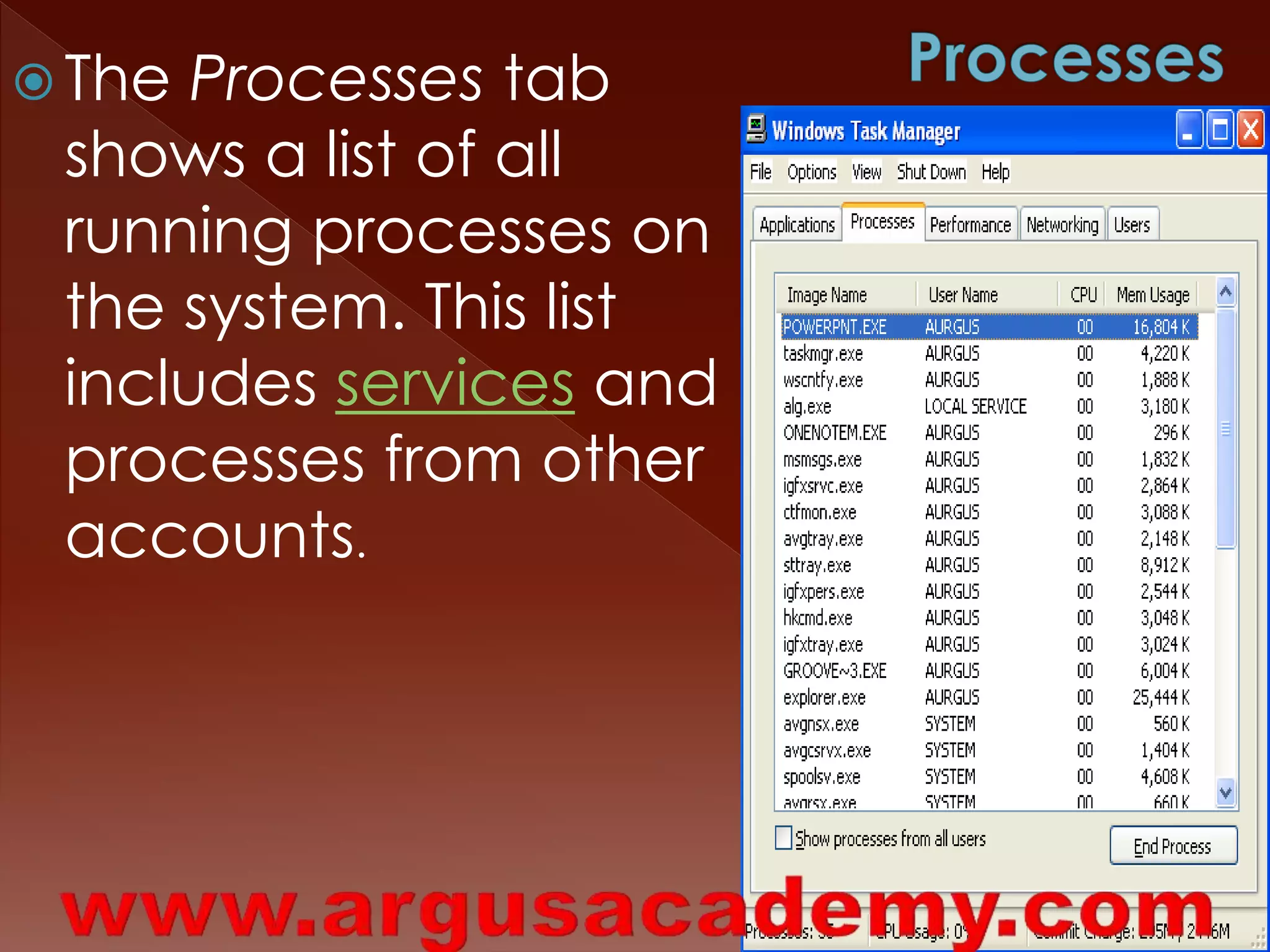 The Processes tab 
shows a list of all 
running processes on 
the system. This list 
includes services and 
processes from other 
accounts. 
 