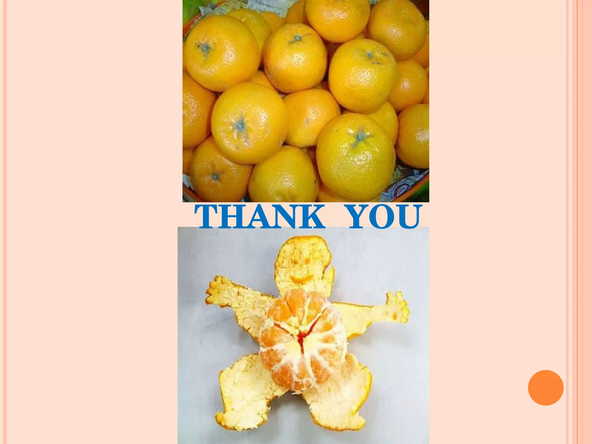 THANK  YOU THANK  YOU 