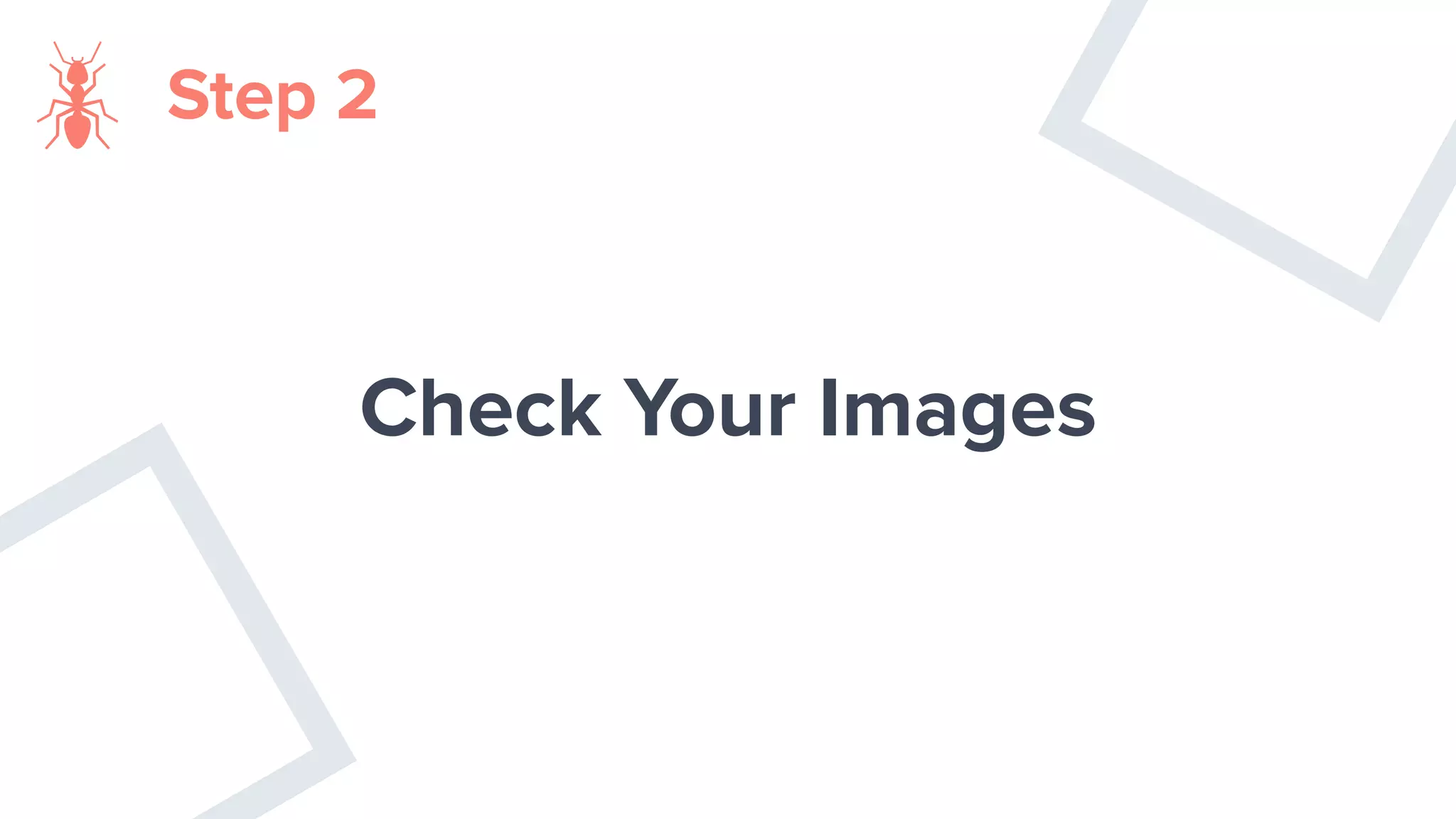 Step 2
Check Your Images
 