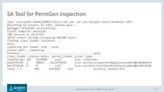 Troubleshooting Java HotSpot VM | PDF