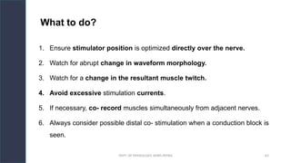 Troubleshooting in Nerve Conduction and EMG Studies : Technical Errors ...