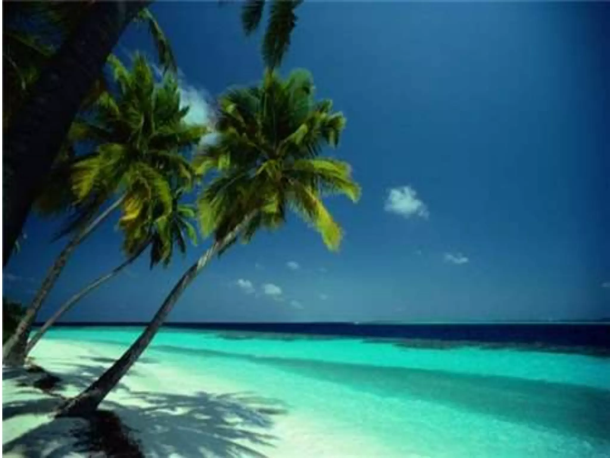 Trouble shooting of mechanical ventilator