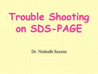 Trouble Shooting
 on SDS-PAGE

    Dr. Nishodh Saxena
 