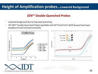 28
 Lowered background due to improved quenching
 IDT ZEN™ Double-Quenched Probes (available with IDT PrimeTime® qPCR Assays) have lower
background and increased sensitivity
ZEN™ Double-Quenched Probes
Height of Amplification probes…Lowered Background
 