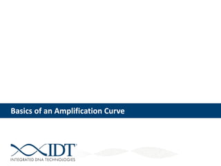 Basics of an Amplification Curve
 