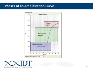4
Phases of an Amplification Curve
4
 