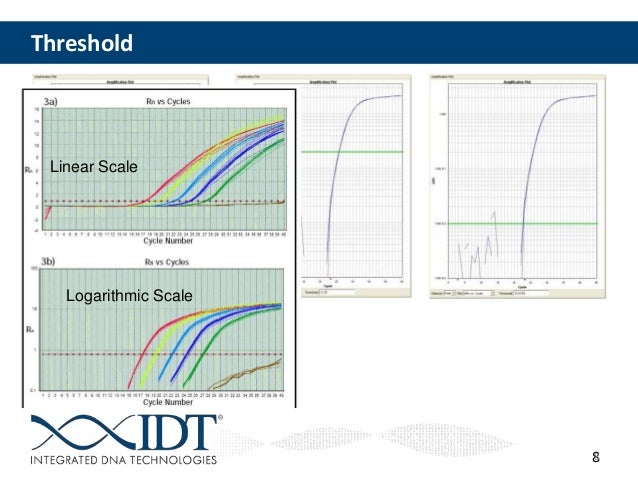 Troubleshooting qPCR: What Are My Amplification Curves Telling Me?