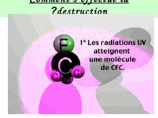 Comment s’effectue la
destruction?
 
